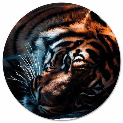 Label2X Muurcirkel Muurcirkel tijger