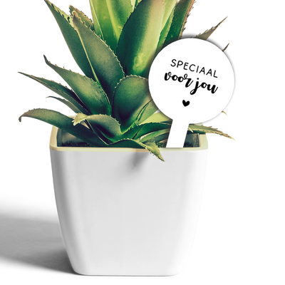 Label2X Plantenprikkertje speciaal voor jou woonaccessoires homedecoratie