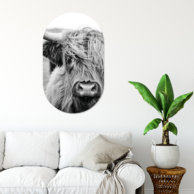 Muurovaal dieren