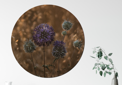 Muurcirkel bloemen & planten