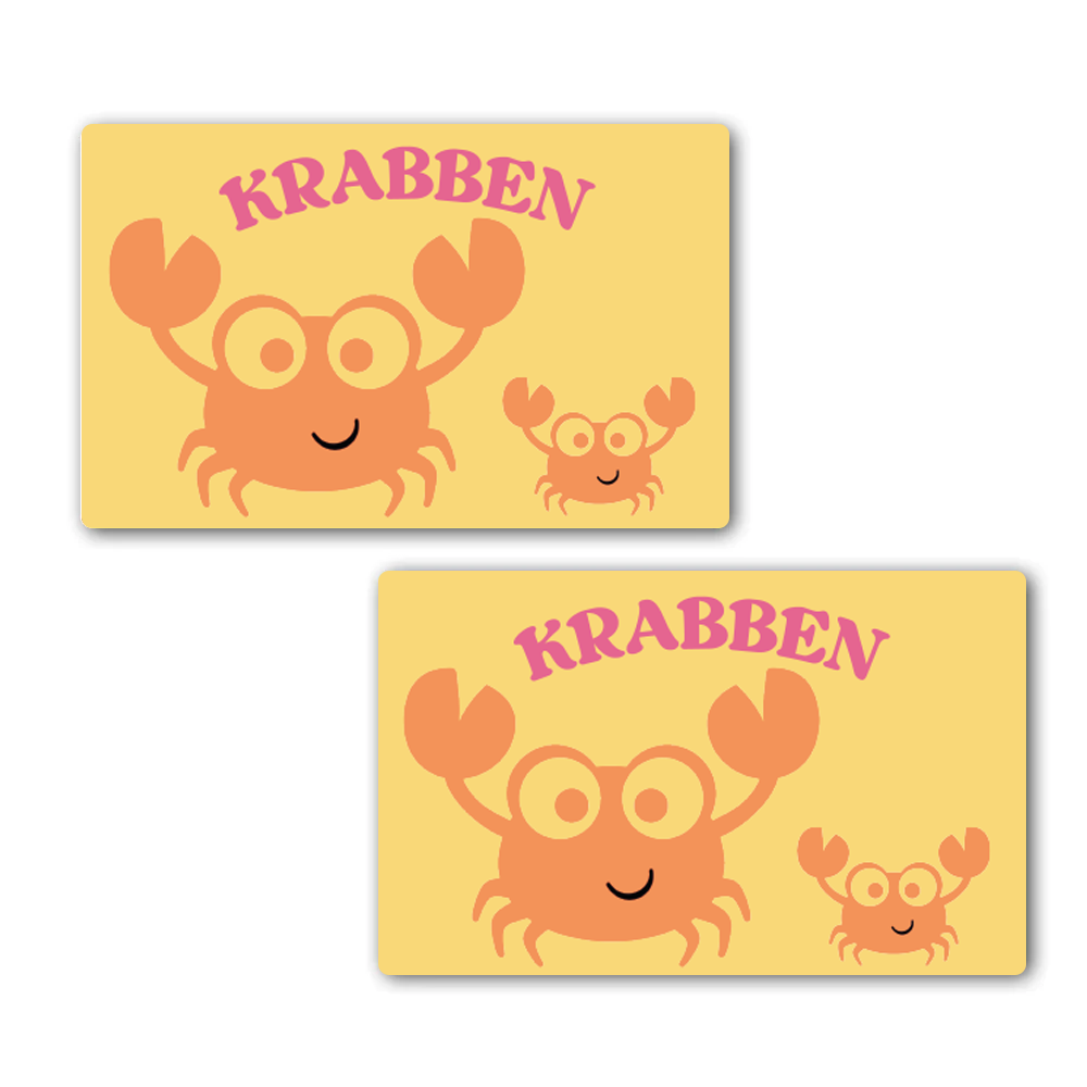 Label2X IJskrabber ijskrabber auto krabben woonaccessoires homedecoratie