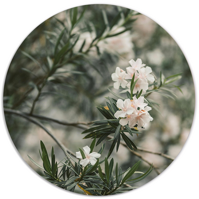 Label2X Muurcirkel Muurcirkel breeze Muurcirkel breeze woonaccessoires homedecoratie
