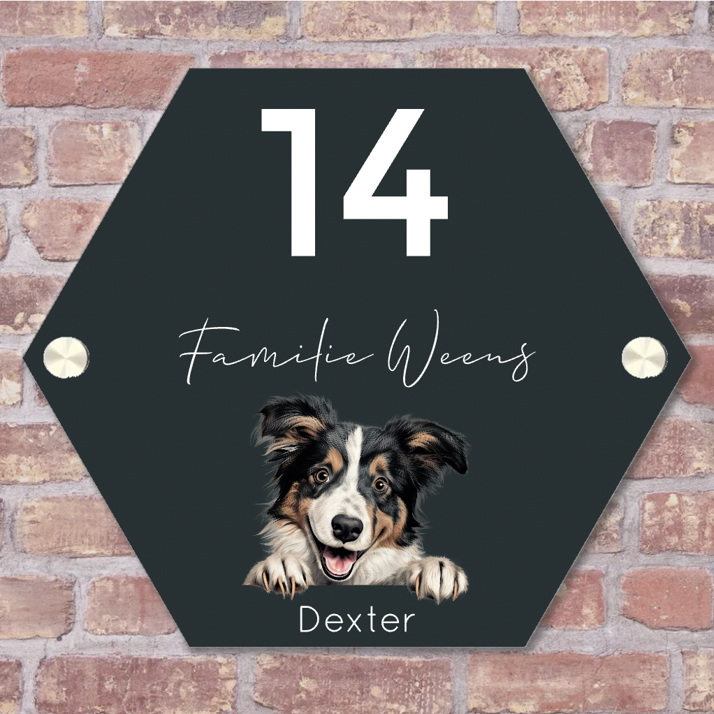 Label2X Naambordjes hexagon Naambordje voordeur hexagon hond Naambordje voordeur hexagon hond woonaccessoires homedecoratie
