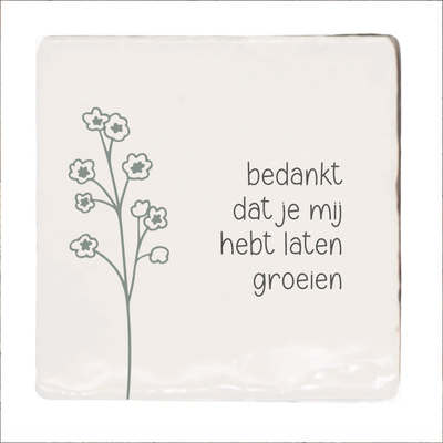 Label2X Tegeltje bedankt dat je mij hebt laten groeien Tegeltje bedankt dat je mij hebt laten groeien woonaccessoires homedecoratie