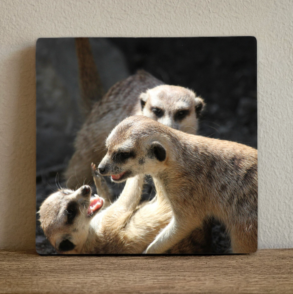Label2X Tegeltje met eigen foto Tegeltje met eigen foto woonaccessoires homedecoratie