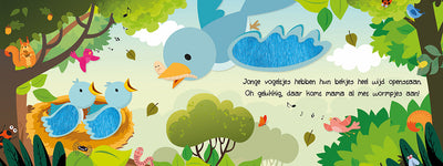 Lantaarn Publishers Kinderboeken Kijk en voel - Babydieren 9789463544375 woonaccessoires homedecoratie