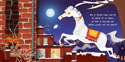 Lantaarn Publishers Kinderboeken Kijk en voel – Sinterklaas 9789463547116 woonaccessoires homedecoratie