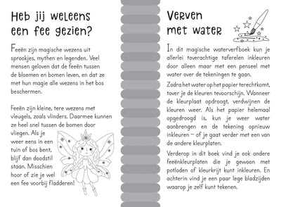 Lantaarn Publishers Kinderboeken Magisch waterkleurboek Feeën 9789463548113 woonaccessoires homedecoratie