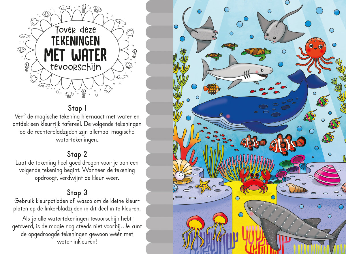 Lantaarn Publishers Kinderboeken Magisch waterkleurboek In de zee 9789463546836 woonaccessoires homedecoratie