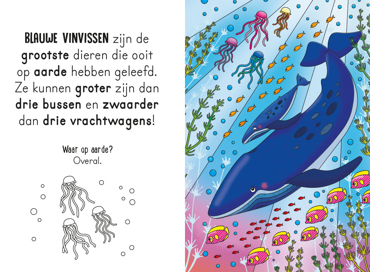 Lantaarn Publishers Kinderboeken Magisch waterkleurboek In de zee 9789463546836 woonaccessoires homedecoratie