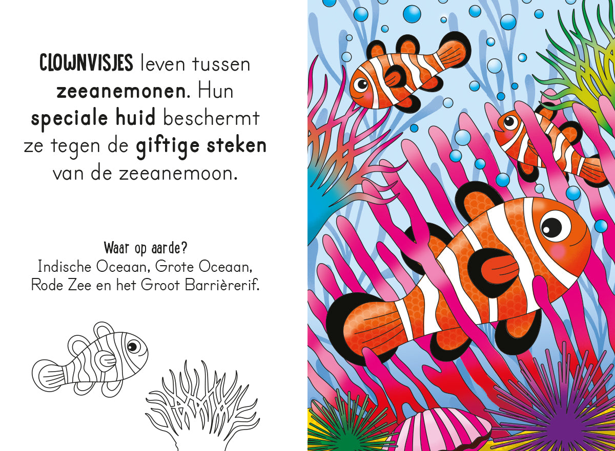 Lantaarn Publishers Kinderboeken Magisch waterkleurboek In de zee 9789463546836 woonaccessoires homedecoratie