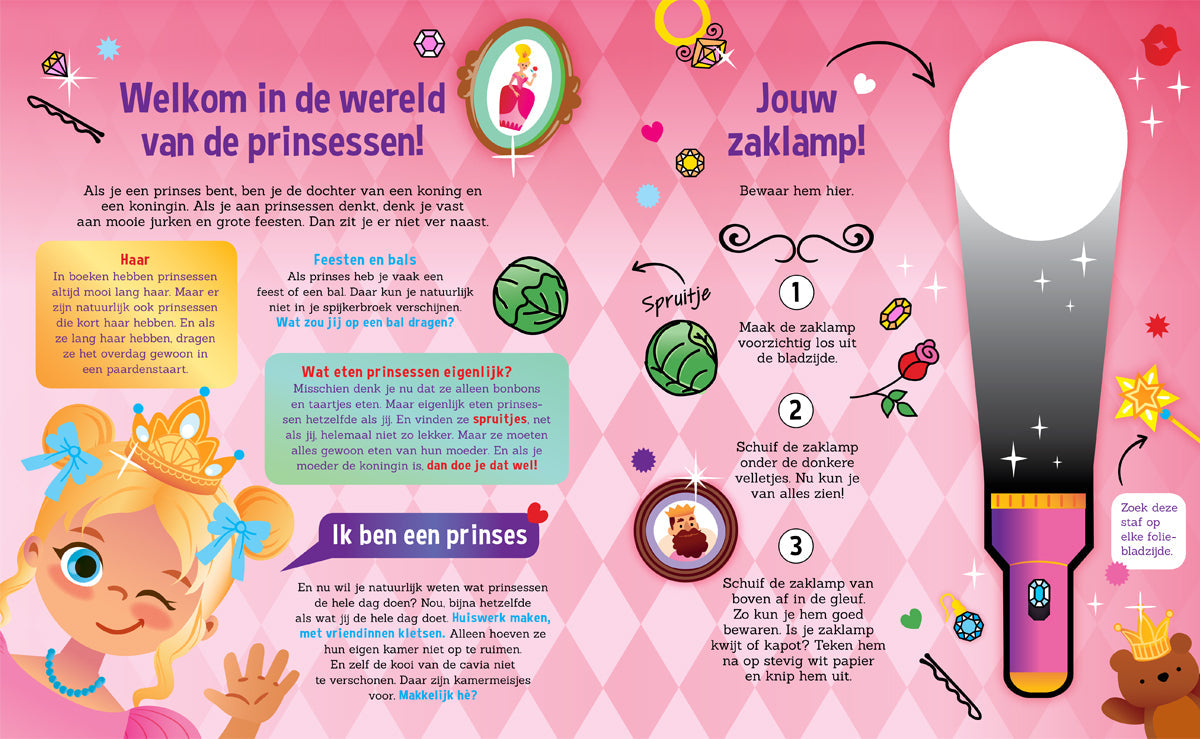 Lantaarn Publishers Kinderboeken Speuren met prinsessen 9789463547574 woonaccessoires homedecoratie