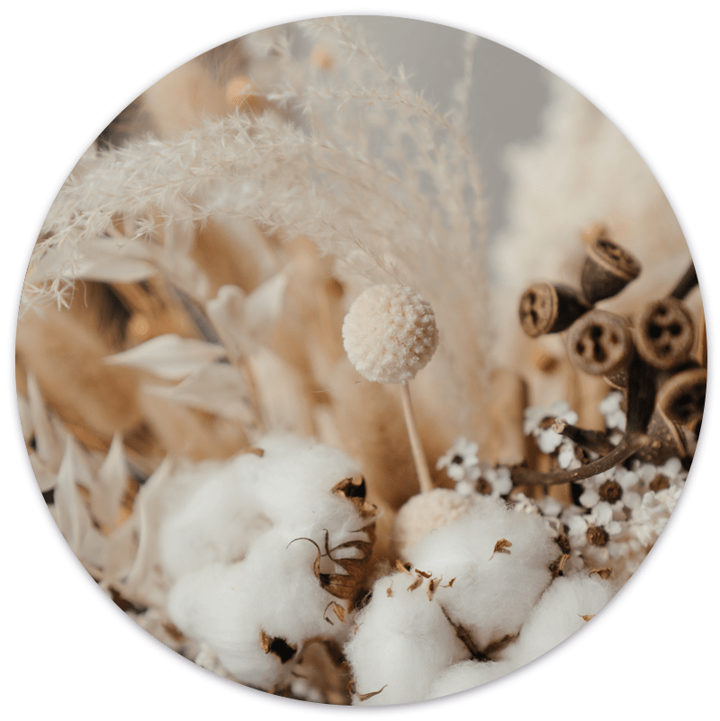 Label2X Muurcirkel Muurcirkel cotton flower