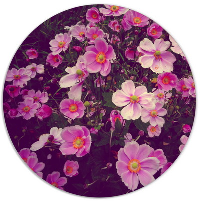 Label2X Muurcirkel Muurcirkel roze bloemen woonaccessoires homedecoratie