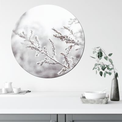 Label2X Muurcirkel Muurcirkel snowy twig