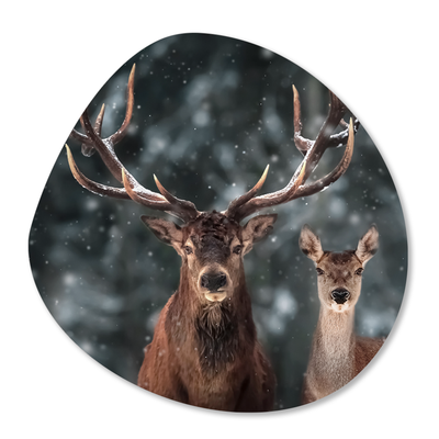 Label2X Muurcirkel Organische vorm deer couple woonaccessoires homedecoratie