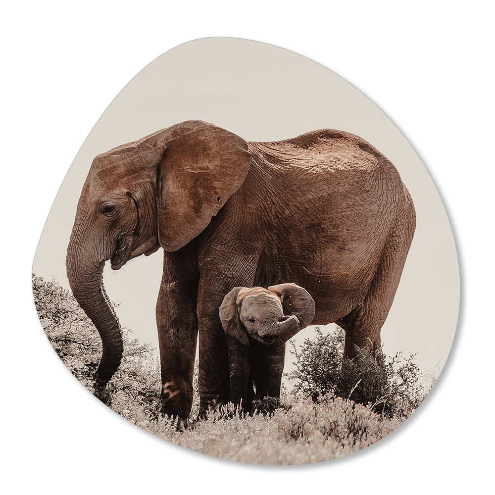 Label2X Muurcirkel Organische vorm olifant baby woonaccessoires homedecoratie