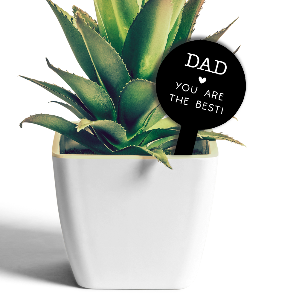 Label2X Plantenprikkertje dad you are the best woonaccessoires homedecoratie