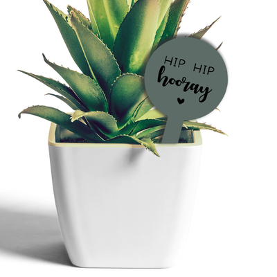 Label2X Plantenprikkertje hip hip hooray woonaccessoires homedecoratie