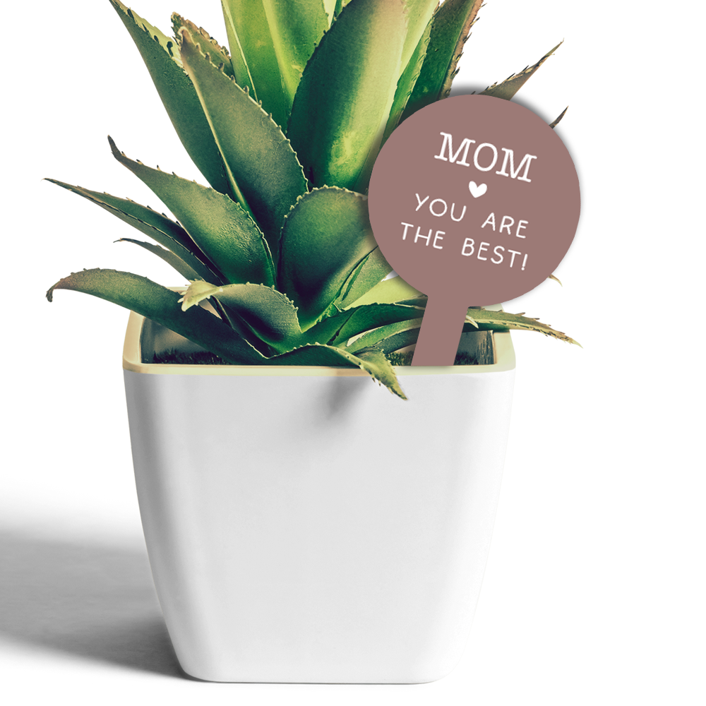 Label2X Plantenprikkertje mom you are the best woonaccessoires homedecoratie