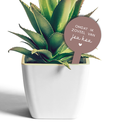 Label2X Plantenprikkertje omdat ik zoveel van jou hou woonaccessoires homedecoratie