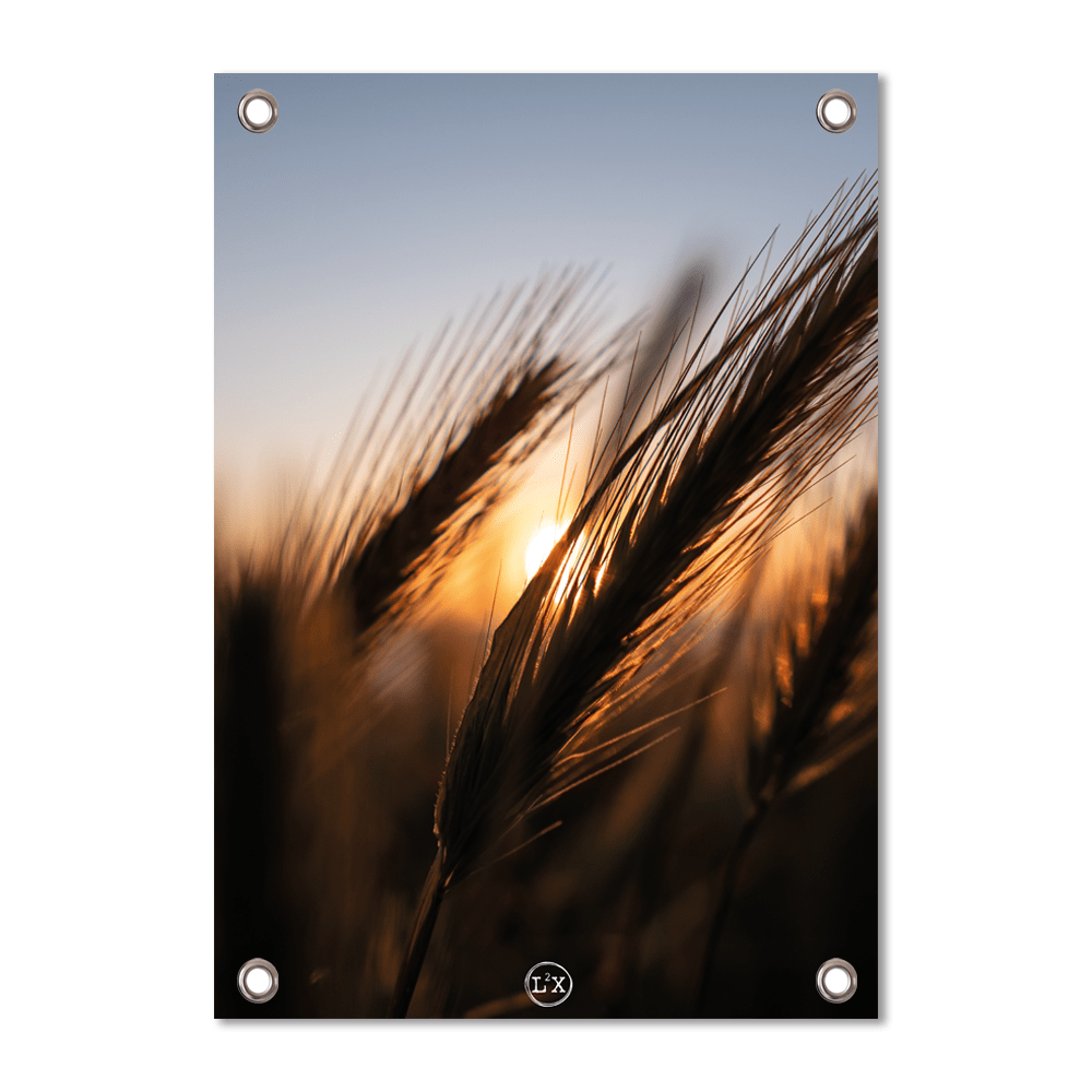 Label2X tuinposter Tuinposter grass