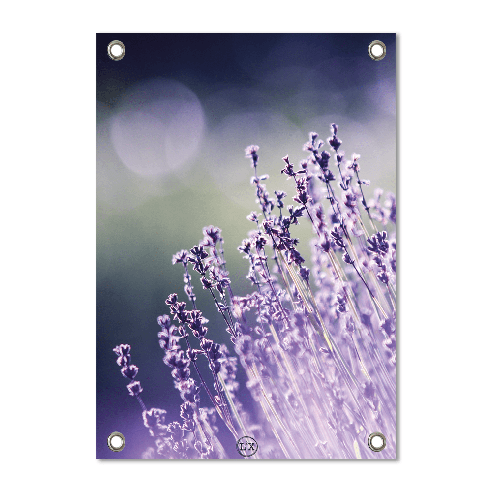 Label2X tuinposter Tuinposter lavender