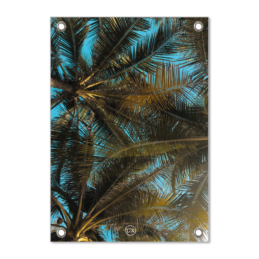 Label2X tuinposter Tuinposter palm woonaccessoires homedecoratie