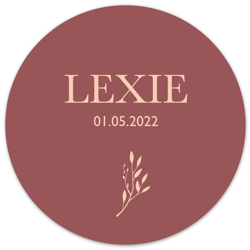 Luniott Geboorte raamsticker Geboorte raamsticker twig woonaccessoires homedecoratie
