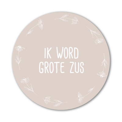 Luniott Zwangerschapsaankondiging Zwangerschapsaankondiging ik word grote zus