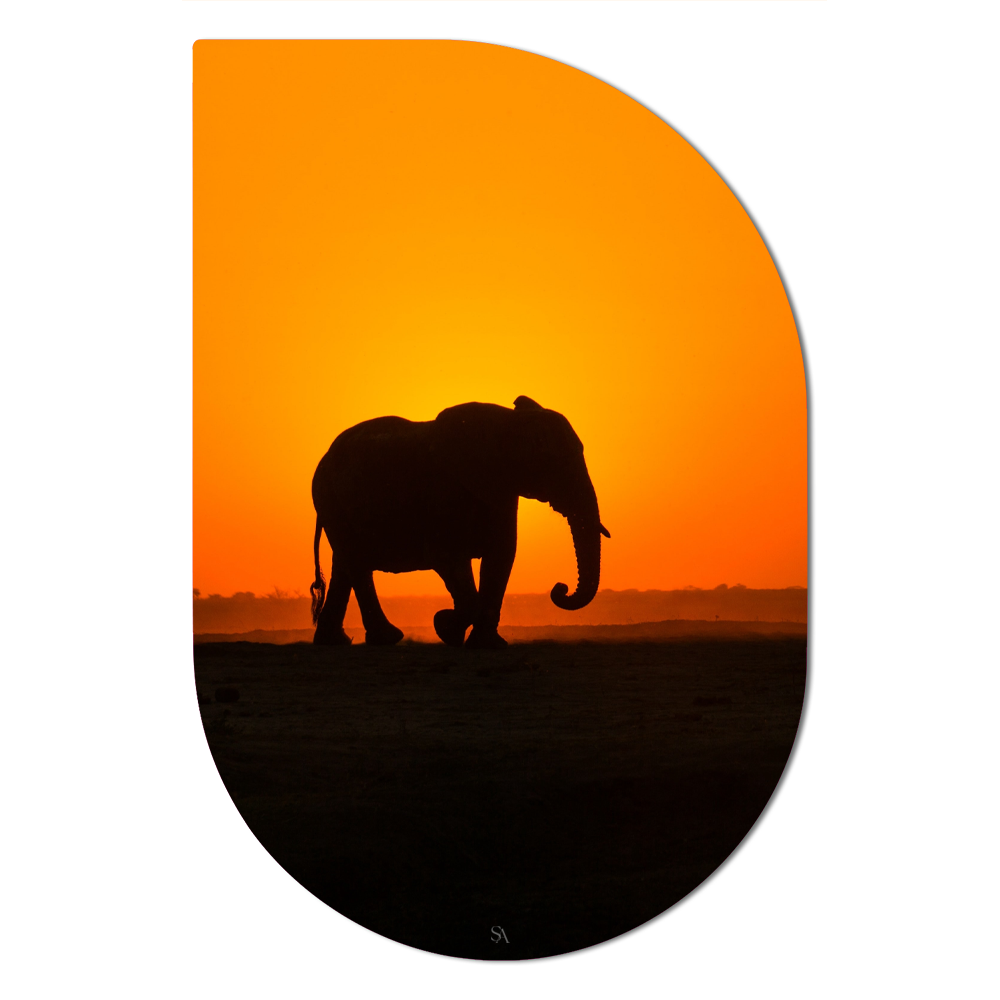 ScandiArt ScandiArt Drip / 13 x 20 cm / Forex ScandiArt olifant sunset 6090337139157 SADF20-026 woonaccessoires homedecoratie