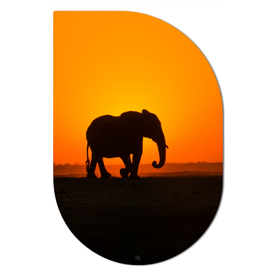 ScandiArt ScandiArt Drip / 13 x 20 cm / Forex ScandiArt olifant sunset 6090337139157 SADF20-026 woonaccessoires homedecoratie