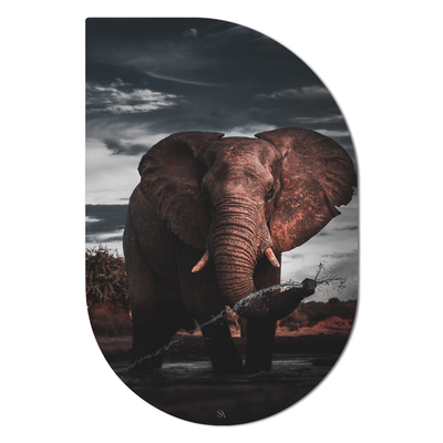 ScandiArt ScandiArt Drip / 13 x 20 cm / Forex ScandiArt olifant 6090337394372 SADF20-025 woonaccessoires homedecoratie