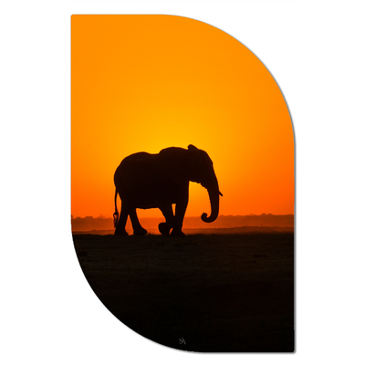 ScandiArt ScandiArt Leaf / 13 x 20 cm / Forex ScandiArt olifant sunset 6090355569561 SALF20-026 woonaccessoires homedecoratie