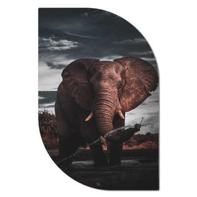 ScandiArt ScandiArt Leaf / 13 x 20 cm / Forex ScandiArt olifant 6090348162106 SALF20-025 woonaccessoires homedecoratie