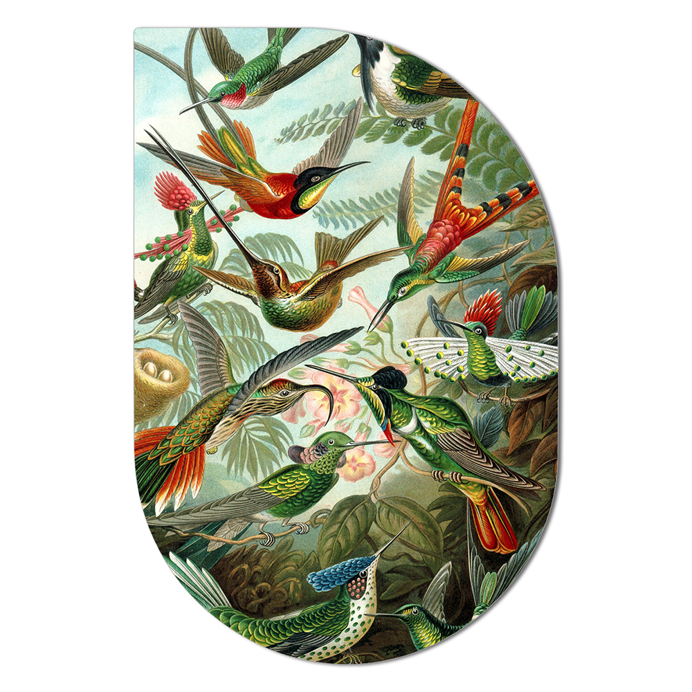 ScandiArt ScandiArt ScandiArt hummingbirds van Ernst Haeckel woonaccessoires homedecoratie