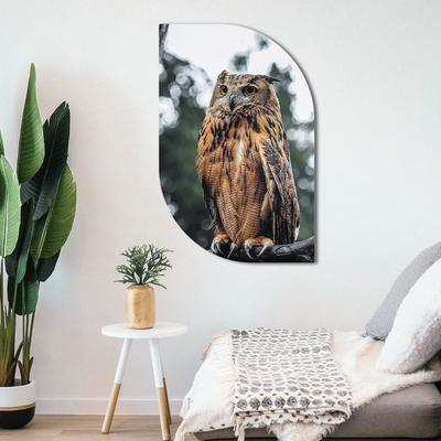 ScandiArt ScandiArt ScandiArt owl woonaccessoires homedecoratie